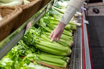 Health Benefits of Celery