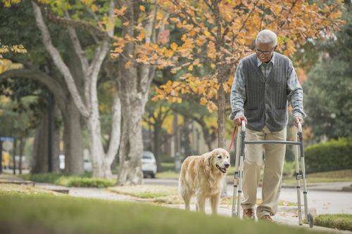 Cách phòng ngừa bệnh Parkinson