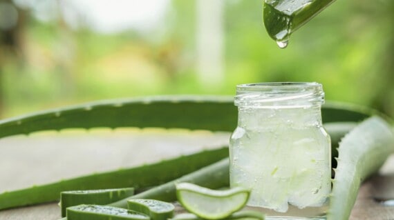 Sử dụng aloe vera gel có thể giúp bạn loại bỏ dandruff, mẹ tôi nói