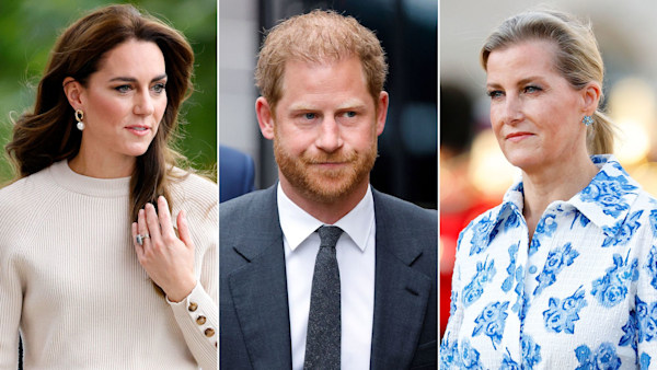 8 times the royals have apologised in public