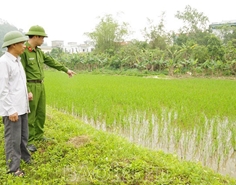 Cảnh báo hành vi dùng điện bẫy chuột gây chết người