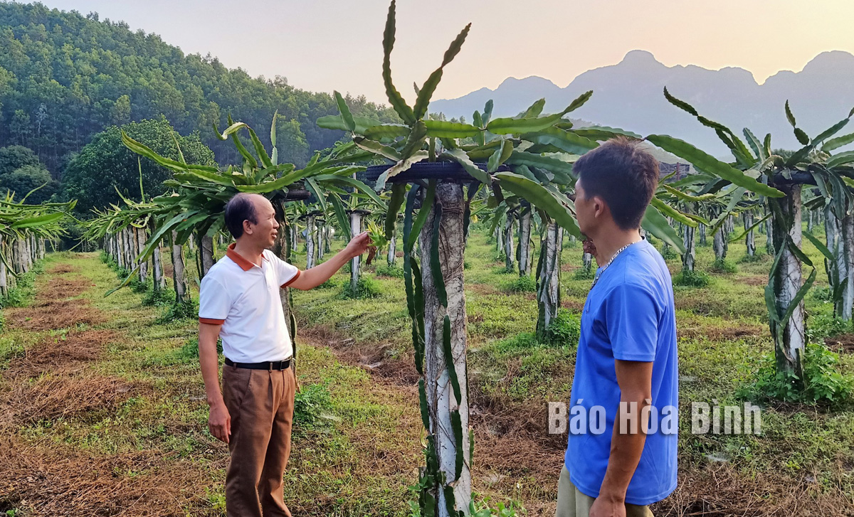 Tích cực hỗ trợ nông dân phát triển sản xuất