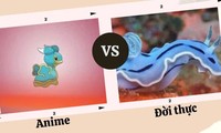 Loài vật như Pokémon "xé truyện bước ra đời thực" khiến nhiều fan trầm trồ