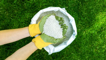 The Eco-Friendly Lawn Fertilizer Tiktok Swears By For Greener Grass