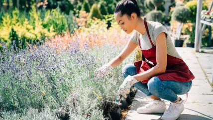 Common Pests That'll Come After Your Lavender And How To Stop Them