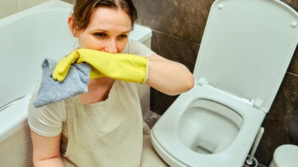 Khử mùi bệ toilet: Chúng là gì và chúng thực sự có thể chống lại mùi hôi?