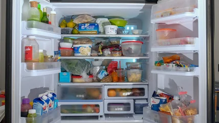 Bộ quản lý tài chính có thể mua được của cây một đồng giữ lại món Fridge Neat và được tổ chức ít hơn