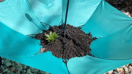 Turn An Old Umbrella Into A Topsy-Turvy Planter With This Creative DIY