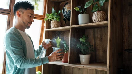 If You Don't Have A Green Thumb, You May Want To Avoid Growing This Plant Indoors