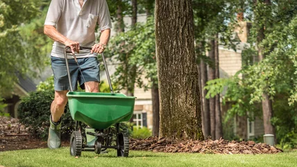 Don't Make This Big Mistake When Using A Lawn Spreader In Your Yard