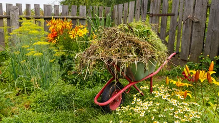 The Secret To Preventing Weeds Is Already Growing In Your Garden