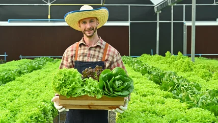 TikTok's Lettuce Seed Harvesting Trick For Unlimited Crops