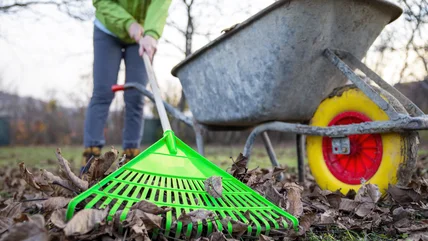 Những cách sành điệu để tái sử dụng một cái cào quanh nhà thay vì vứt nó đi