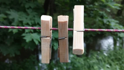 Keep The Plants In Your Garden Organized With This Genius Clothespin Upcycle