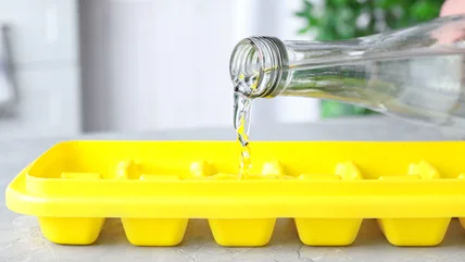 Brilliant Ways To Repurpose Ice Cube Trays In The House And Garden