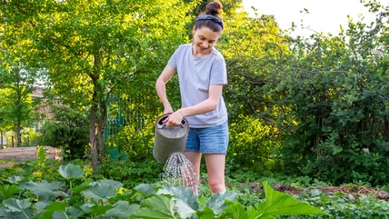 The 9 Best Drought-Resistant Grass Alternatives For Your Yard