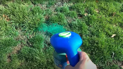 How To Choose The Right Spray-On Grass Seed For Your Lawn