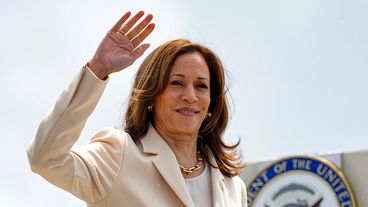 Tôi cảm thấy mất liên lạc Từ cuộc bầu cử. Sau đó Kamala Harris bước vào Cuộc đua và một phần bộ não của tôi.