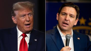 Ron DeSantis không quan tâm đến việc trở thành Phó Tổng thống của Trump