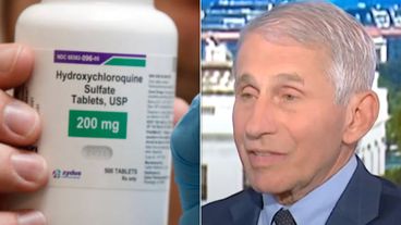 Anthony Fauci nói Thump đã có hydraxychloroquine Ý tưởng từ TV phải Máy