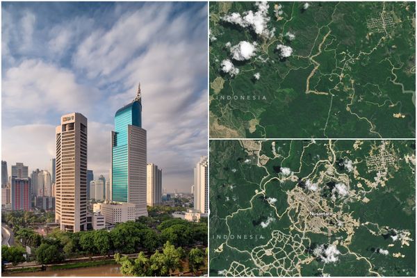 First look at Indonesia's new capital – which doesn't exist yet