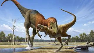 Đối đầu hóa thạch: Phát hiện mới kết thúc cuộc tranh luận giữa Nanotyrannus và T. Rex