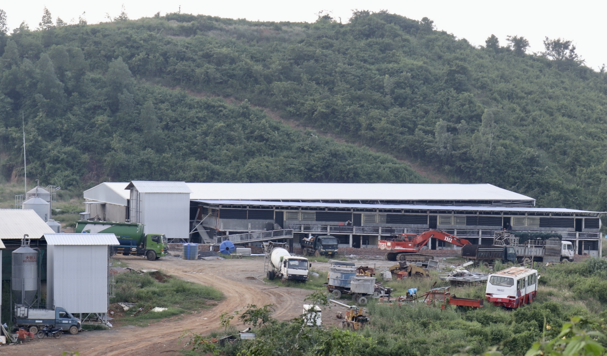 Sau bài viết: “Trang trại chăn nuôi heo xây dựng trái phép trên đất rừng ở Ninh Hòa": UBND tỉnh chỉ đạo rà soát các hoạt động chăn nuôi