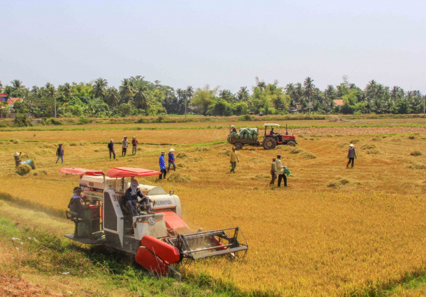 Vạn Ninh: Nỗ lực đạt chuẩn huyện nông thôn mới vào cuối năm