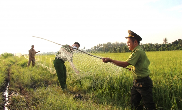 Đẩy mạnh bảo tồn đa dạng sinh học, bảo vệ chim hoang dã