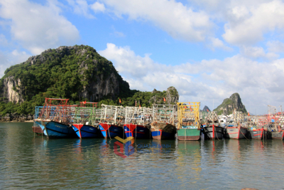 Quảng Ninh chủ động ứng phó với bão số 3