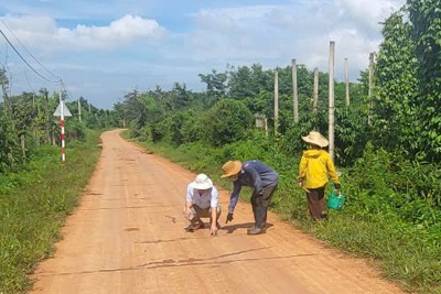 Đắk Lắk: đường bê tông hơn 7 tỷ nứt xé chằng chịt vẫn được nghiệm thu