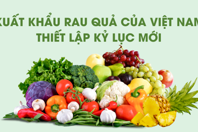 Xuất khẩu rau quả thiết lập kỷ lục mới