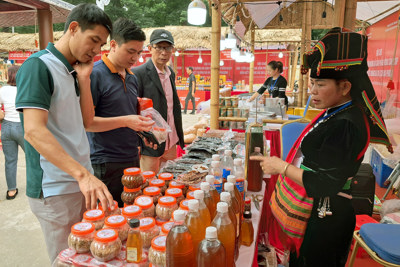 Đồng hành cùng Sơn Tây quảng bá nông sản du lịch địa phương