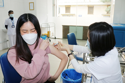 Cấp phép vaccine phòng bệnh sốt xuất huyết