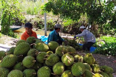 Lần đầu tiên xuất khẩu rau quả đạt trên 1 tỷ USD trong quý I/2024