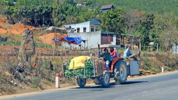 Sử dụng xe tự chế, xe cấm lưu thông gây tai nạn sẽ bị xử lý hình sự