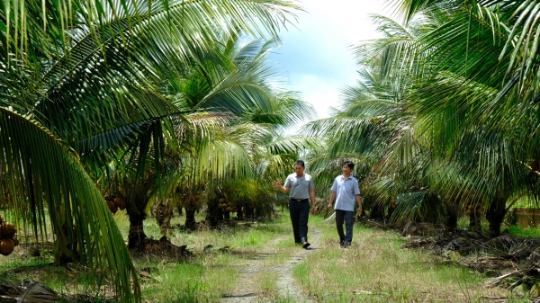 Cát Tiên: Nhân rộng các mô hình vườn mẫu trong phát triển kinh tế