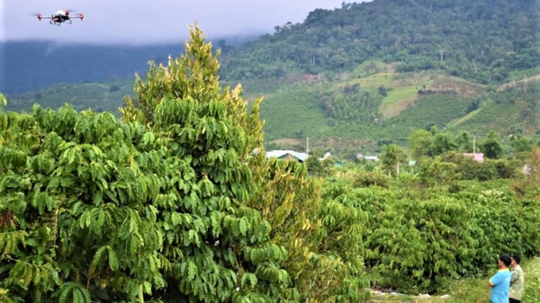 Thúc đẩy chuyển đổi số trong sản xuất nông nghiệp