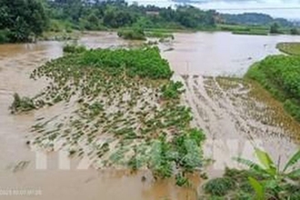 Mưa lớn gây nhiều thiệt hại tại Yên Bái, tạm dừng chạy tàu tuyến Hà Nội - Lào Cai