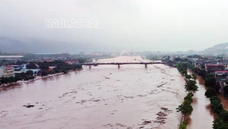 Chủ tịch UBND tỉnh tiếp tục ra công điện chỉ đạo tập trung cao độ ứng phó, khắc phục hậu quả mưa lũ do bão số 3