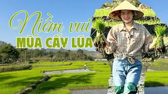 Niềm vui mùa cấy