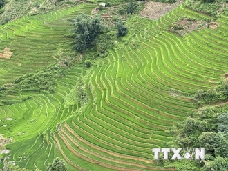 Kỷ niệm 10 năm ruộng bậc thang Sa Pa trở thành Danh thắng Quốc gia