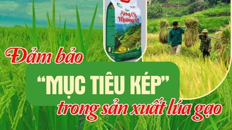 Đảm bảo “mục tiêu kép” trong sản xuất lúa gạo