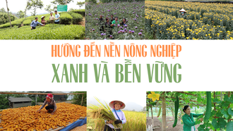 Hướng đến nền nông nghiệp xanh và bền vững