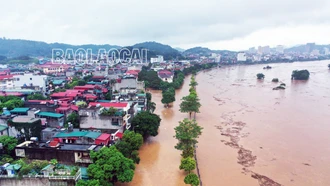 Nước sông Hồng dâng cao, nhiều khu vực ở thành phố Lào Cai ngập sâu trong nước