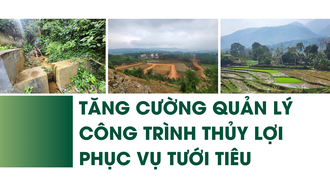 Tăng cường quản lý công trình thủy lợi phục vụ tưới tiêu