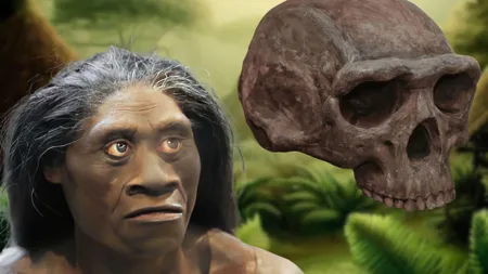 Super floresiensis: sự thật về "hobbit" '