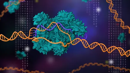 188 loại CRISPR mới được tiết lộ bằng thuật toán