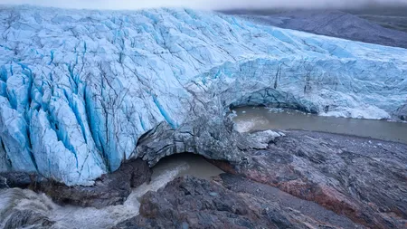 Trái tim băng giá của Greenland tiết lộ nó là một vùng đất màu xanh được bao phủ bởi hoa ít hơn 1 triệu năm trước