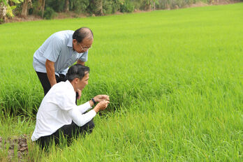 Nông dân vui xuân không quên ruộng đồng